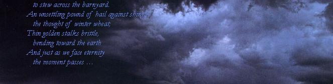 storms5x1.jpg